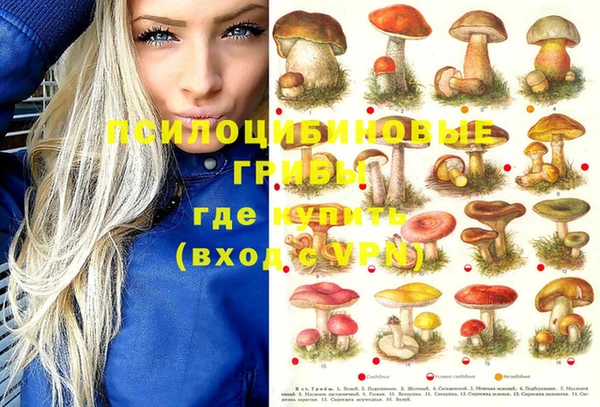 прущие крисы Арсеньев