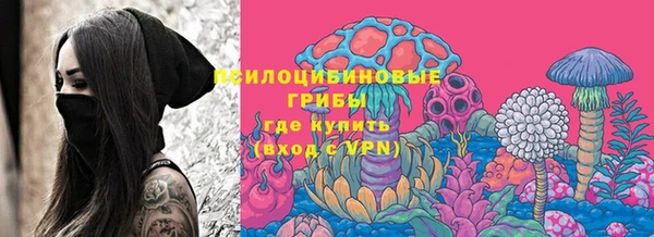 МДПВ Армянск
