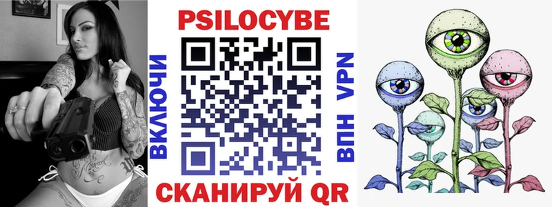 Купить закладки  Боровичи  Псилоцибиновые грибы Cubensis 